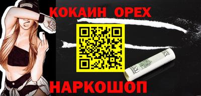 мдпв Гатчина