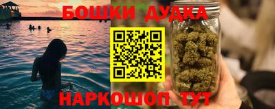 мдпв Гатчина