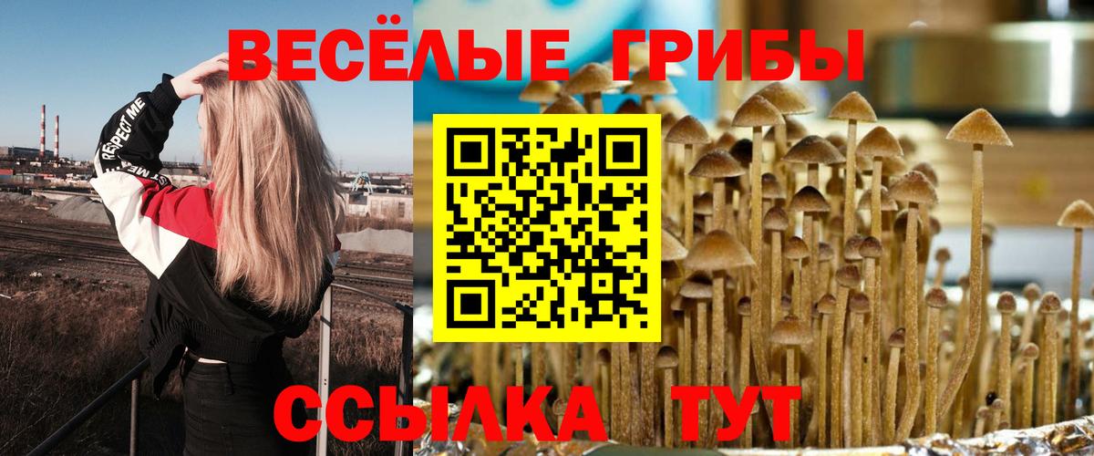 что такое   Вход с VPN  Мытищи  Псилоцибиновые грибы GOLDEN TEACHER  Галлюциногенные грибы GOLDEN TEACHER 